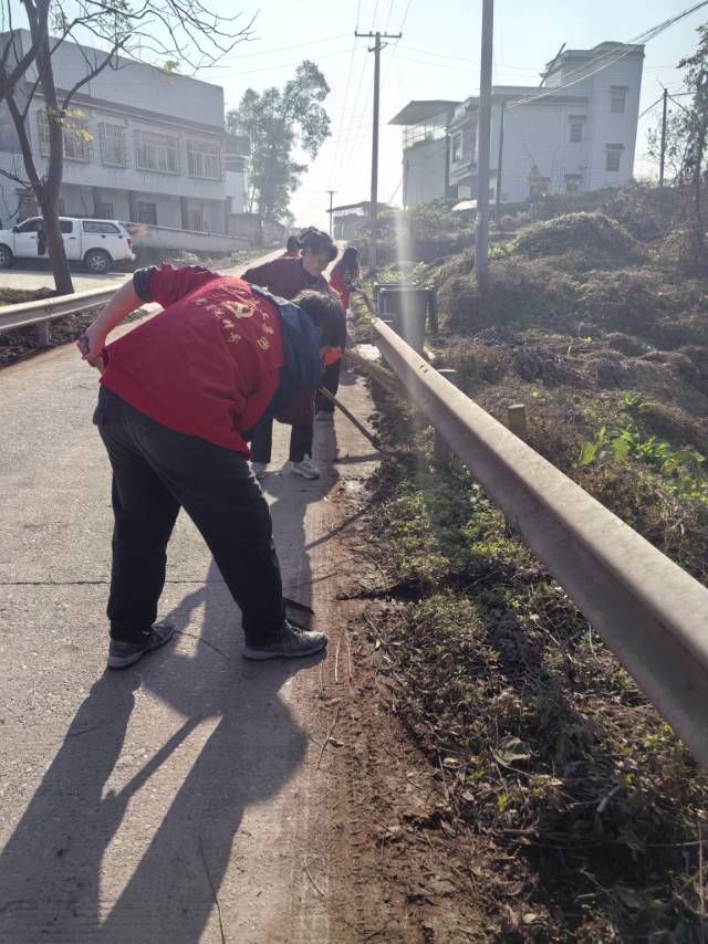 丛丛相亲交友平台