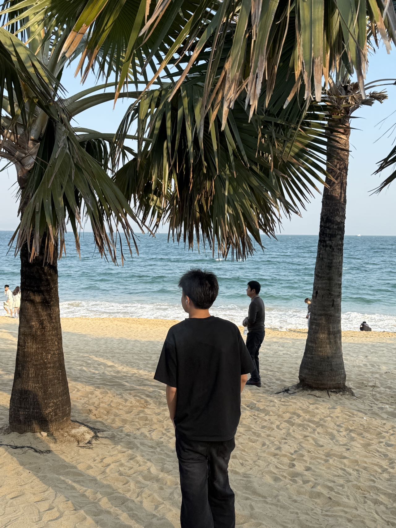 丛丛相亲交友平台
