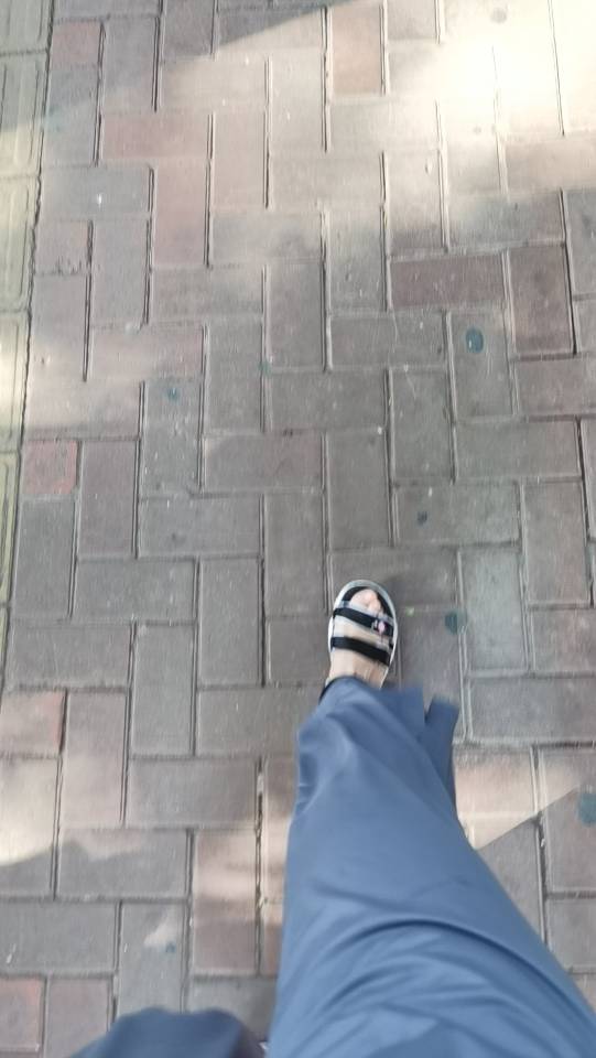 丛丛相亲交友平台
