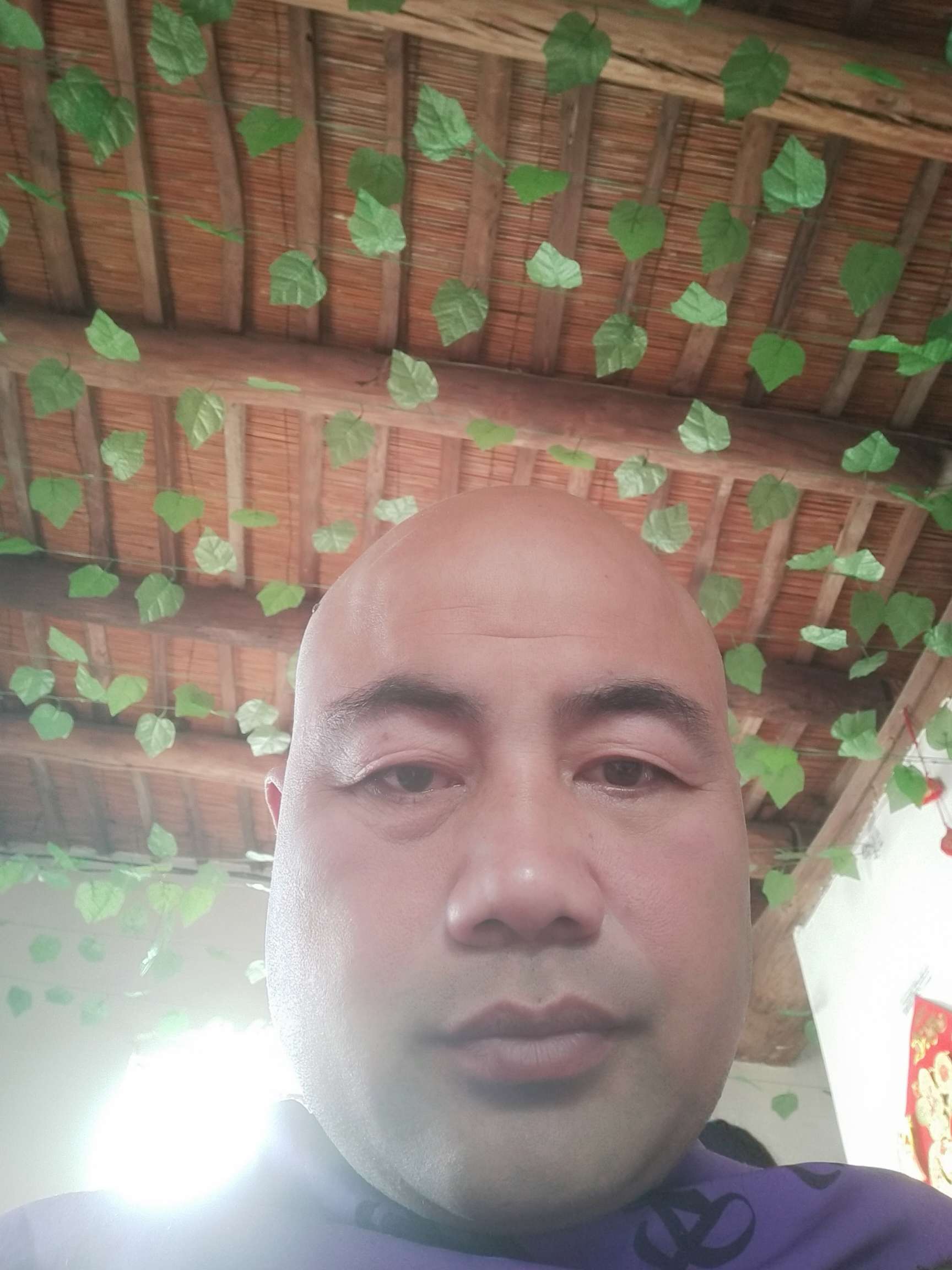 丛丛相亲交友平台