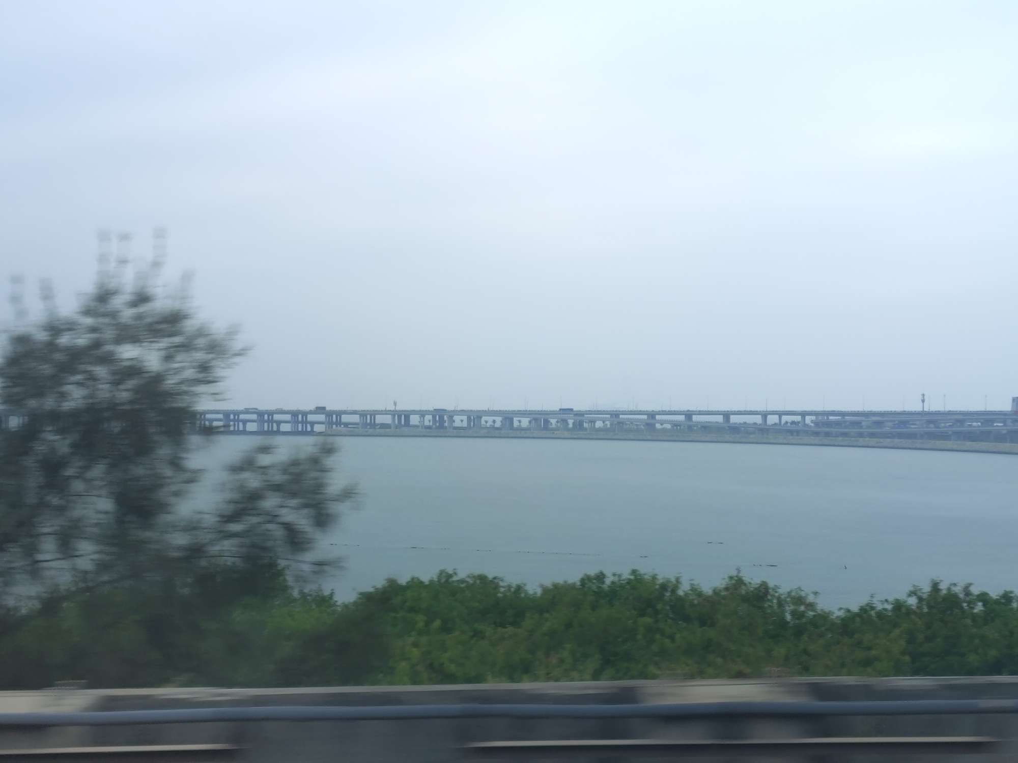 丛丛相亲交友平台