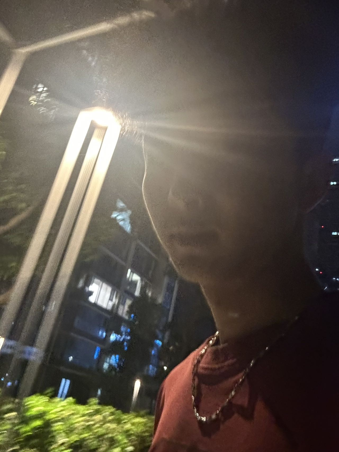 丛丛相亲交友平台