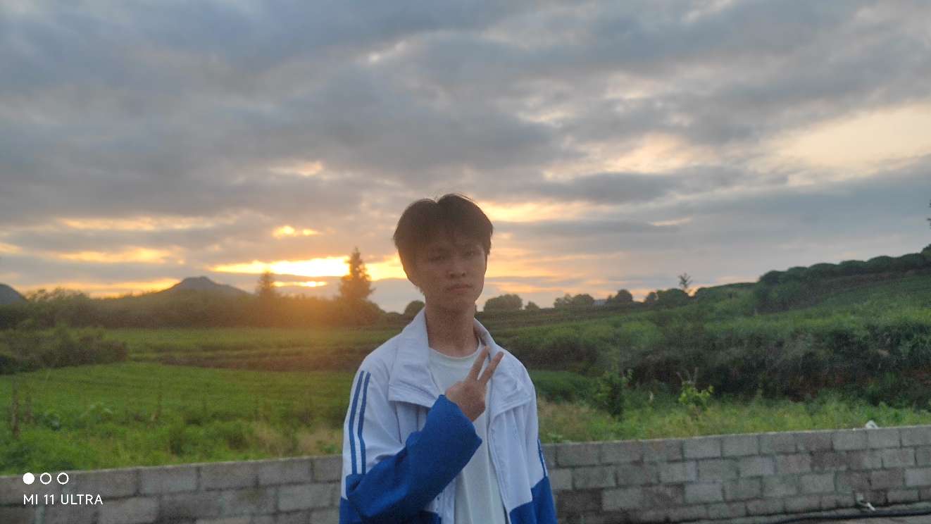 丛丛相亲交友平台