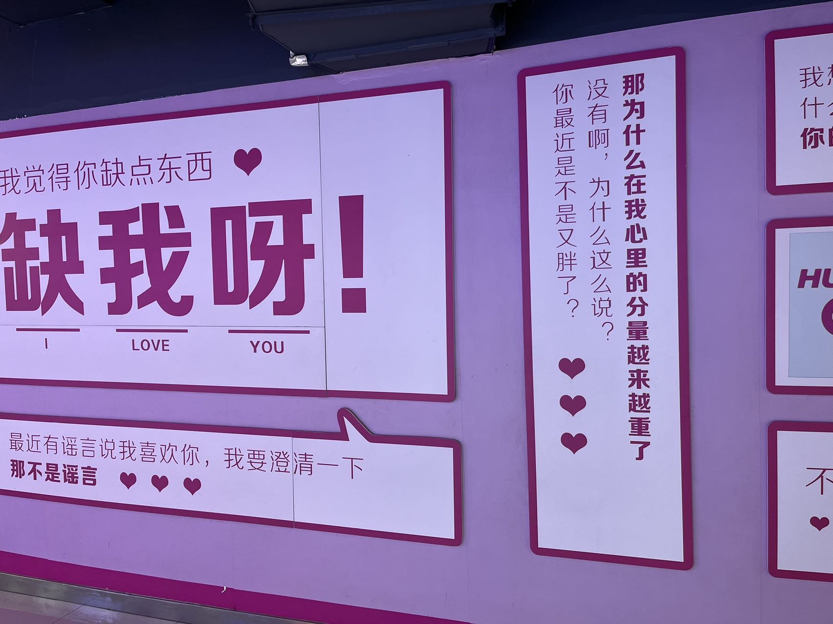 丛丛相亲交友平台