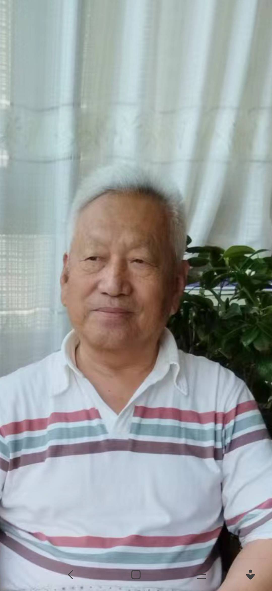 丛丛相亲交友平台