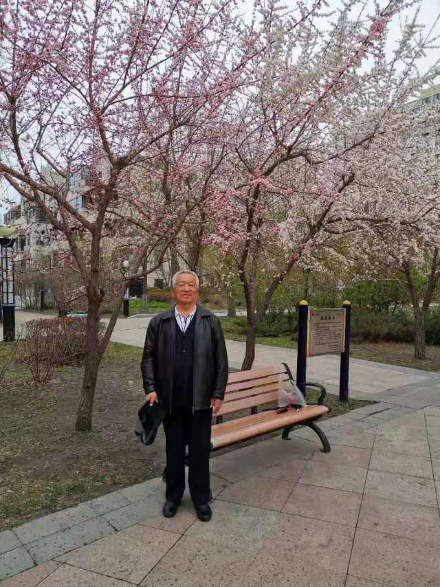 丛丛相亲交友平台