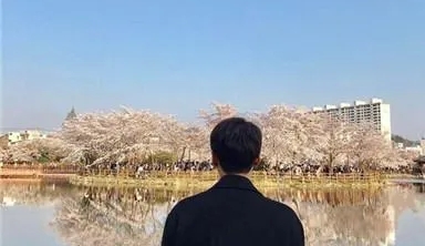 丛丛相亲交友平台