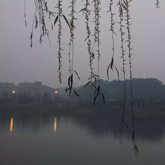 丛丛相亲交友平台