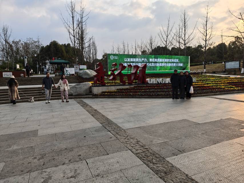 丛丛相亲交友平台