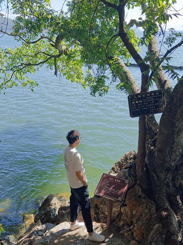 丛丛相亲交友平台