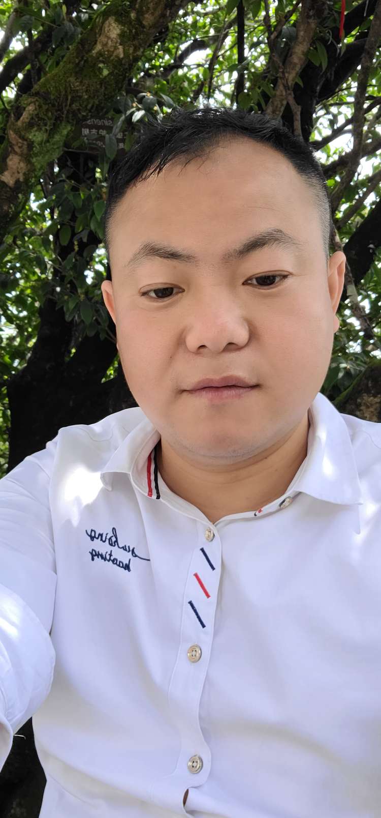 丛丛相亲交友平台