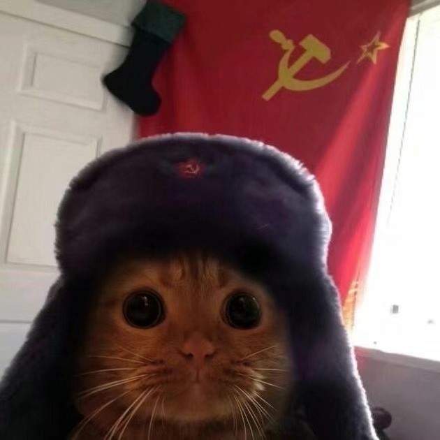 丛丛相亲交友平台