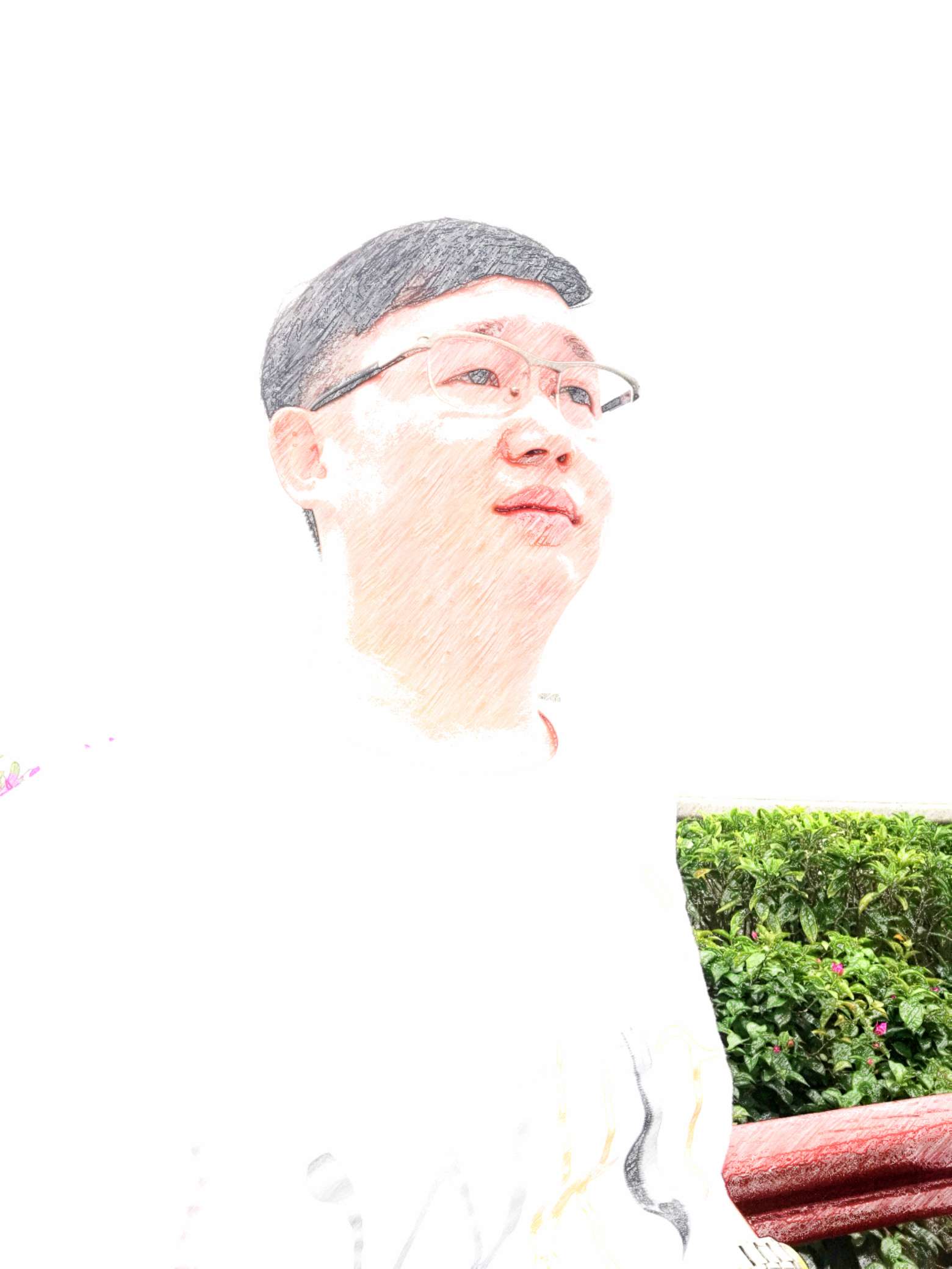 丛丛相亲交友平台