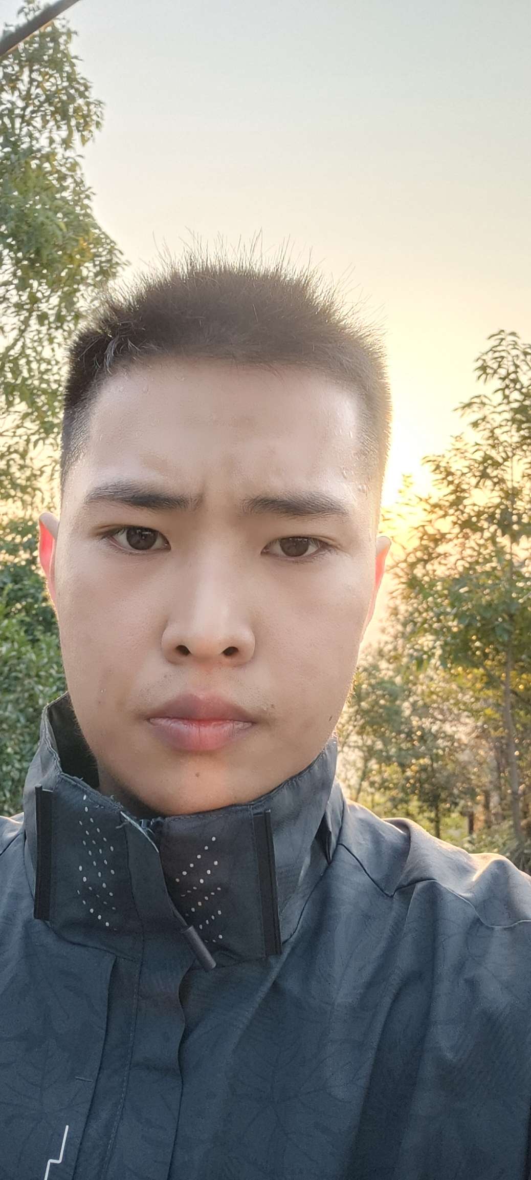 丛丛相亲交友平台