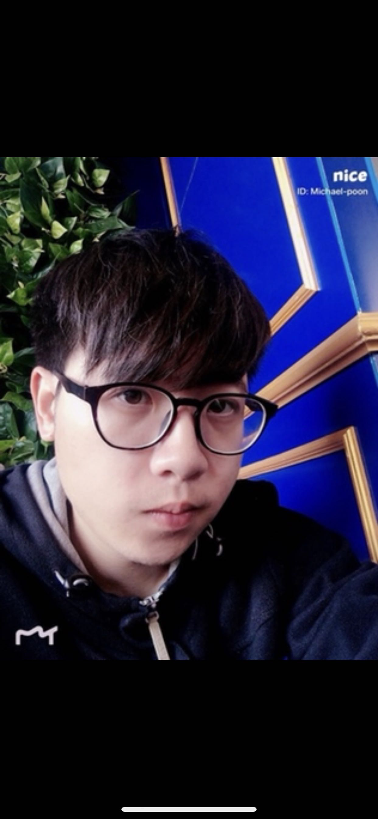 丛丛相亲交友平台