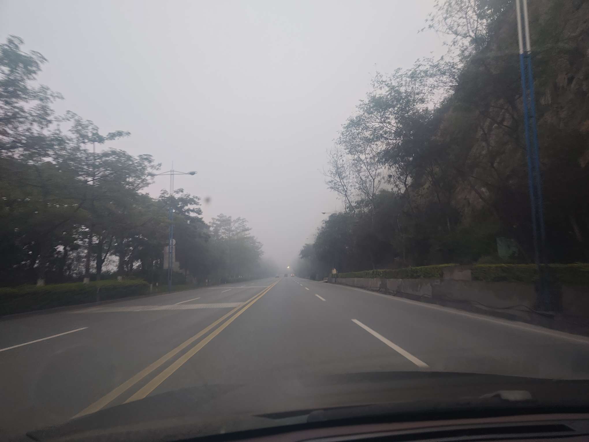 找搭子