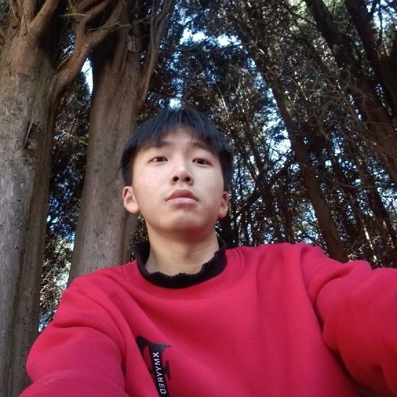 丛丛相亲交友平台