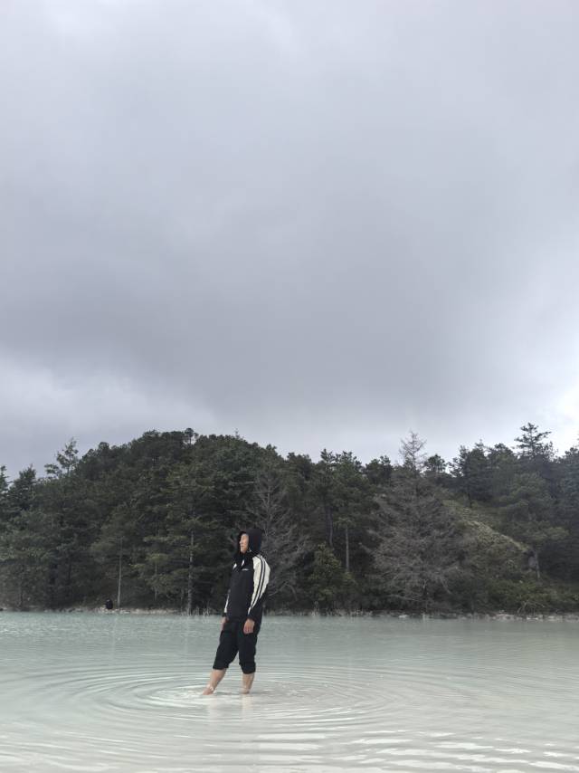 丛丛相亲交友平台