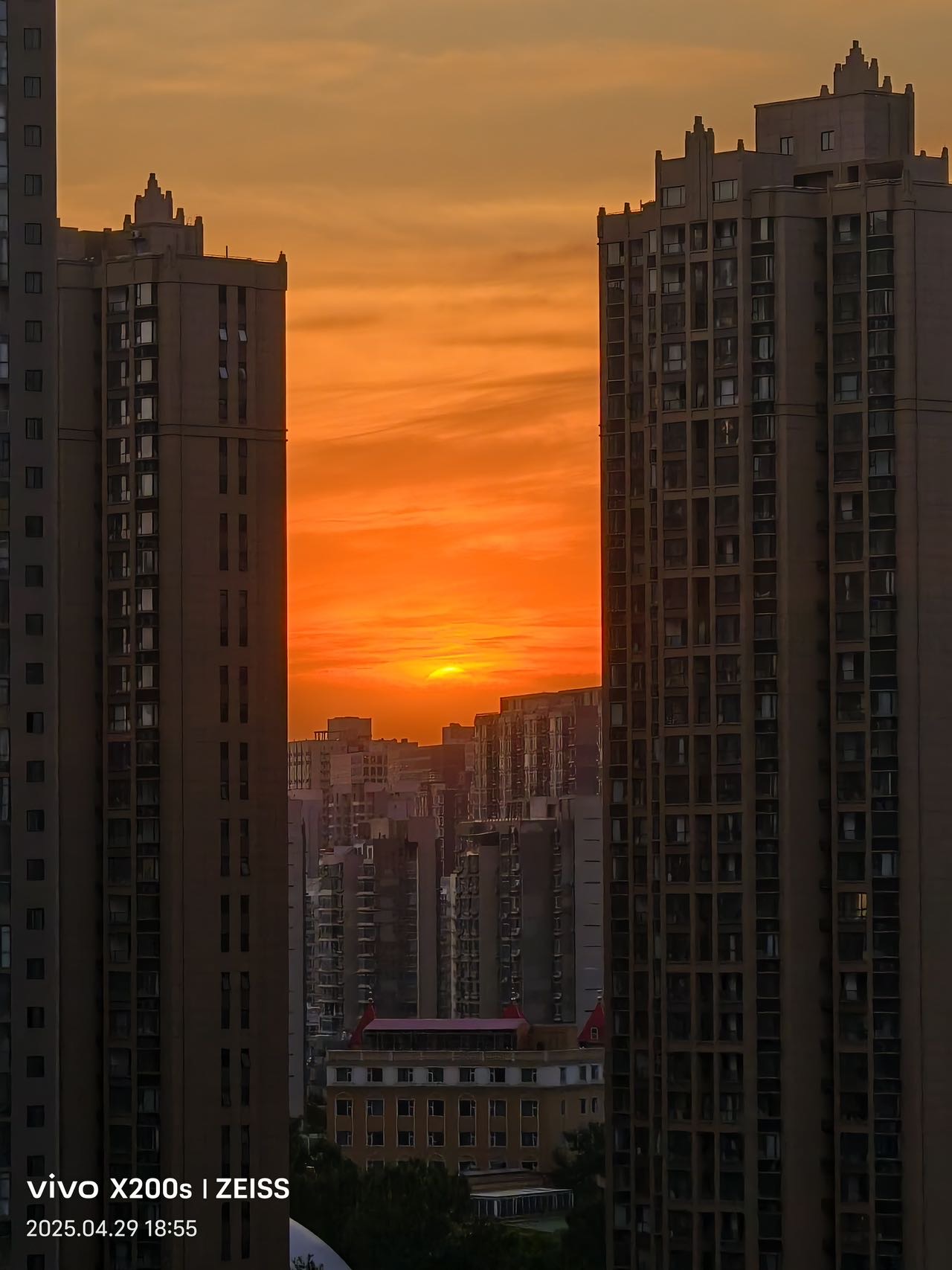 丛丛相亲交友平台