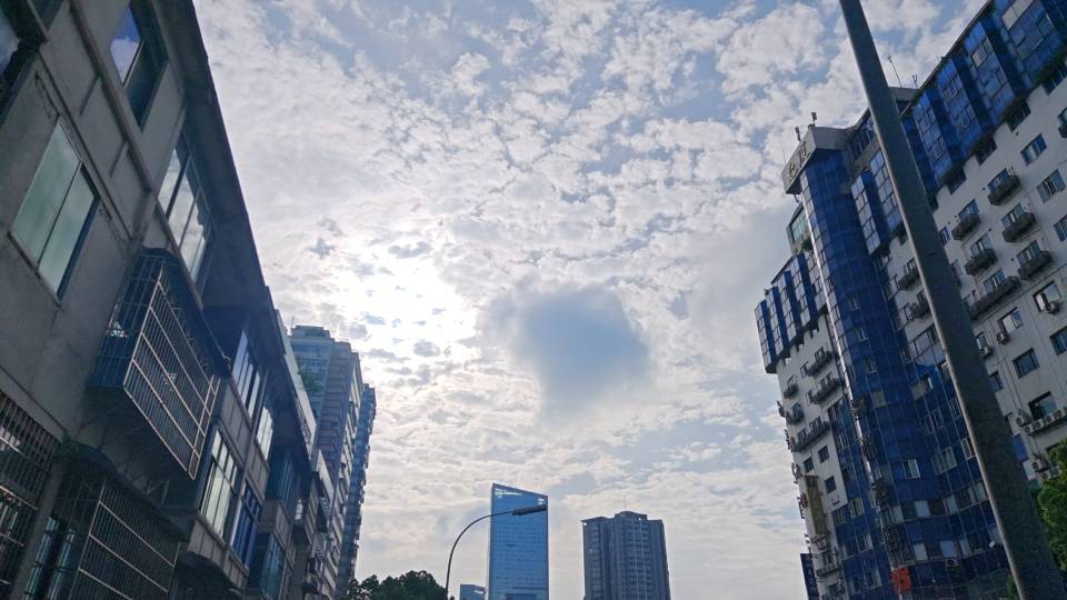 丛丛相亲交友平台