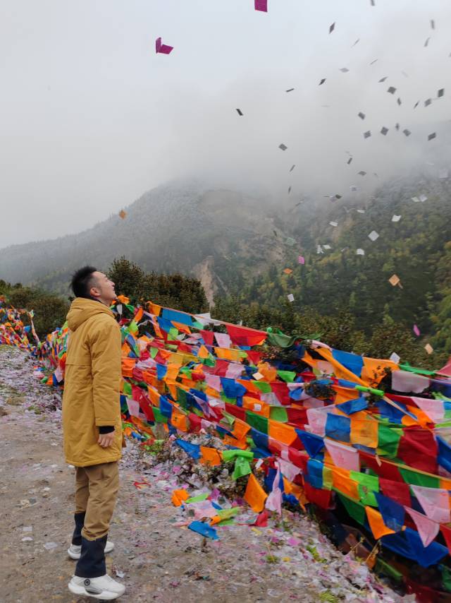 丛丛相亲交友平台