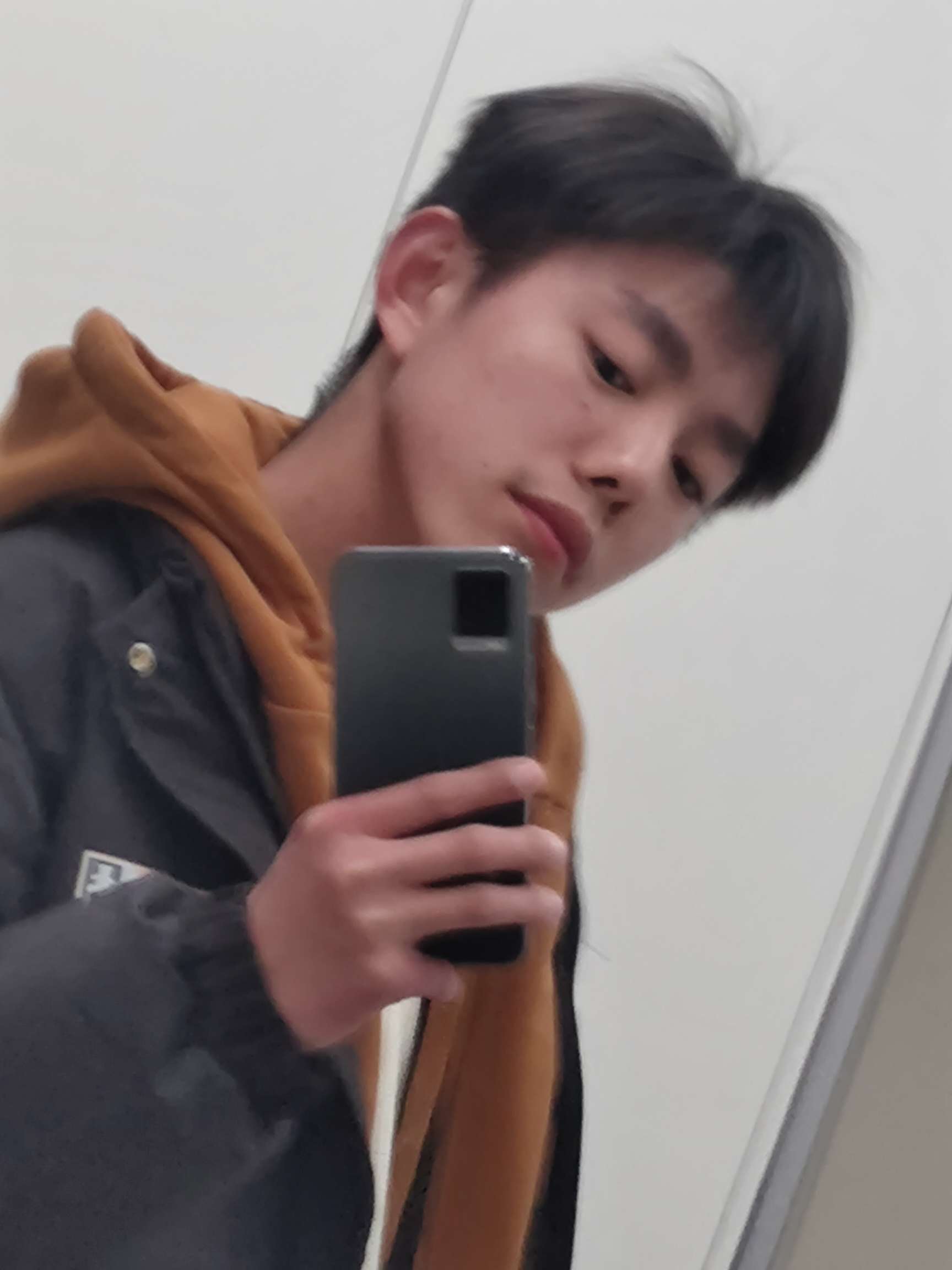 丛丛相亲交友平台
