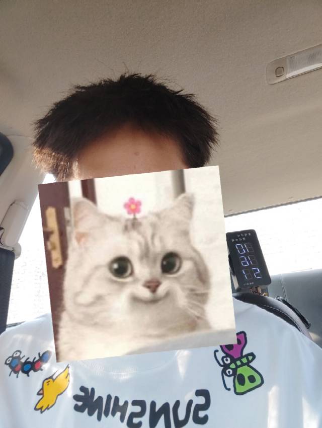 丛丛相亲交友平台