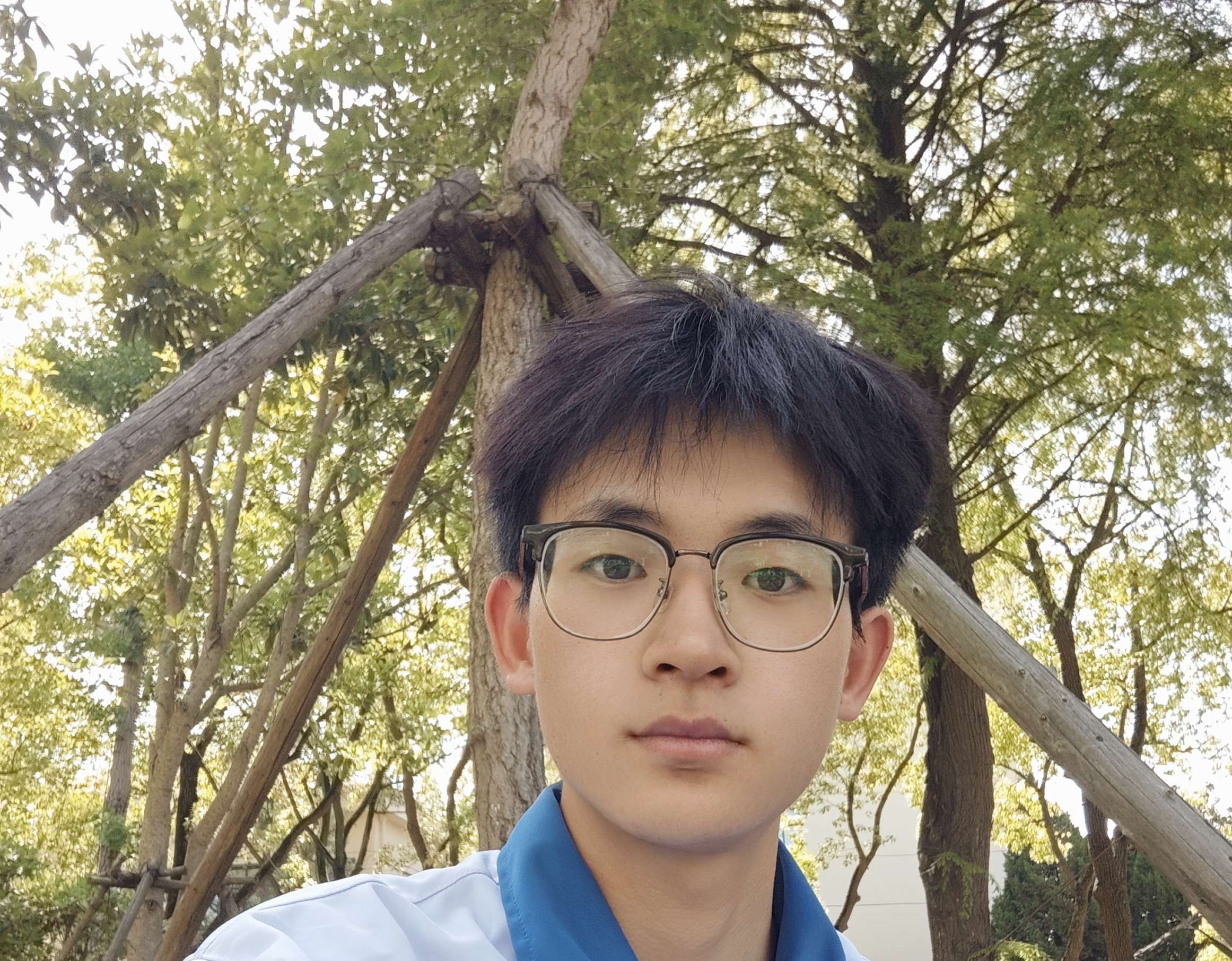 丛丛相亲交友平台