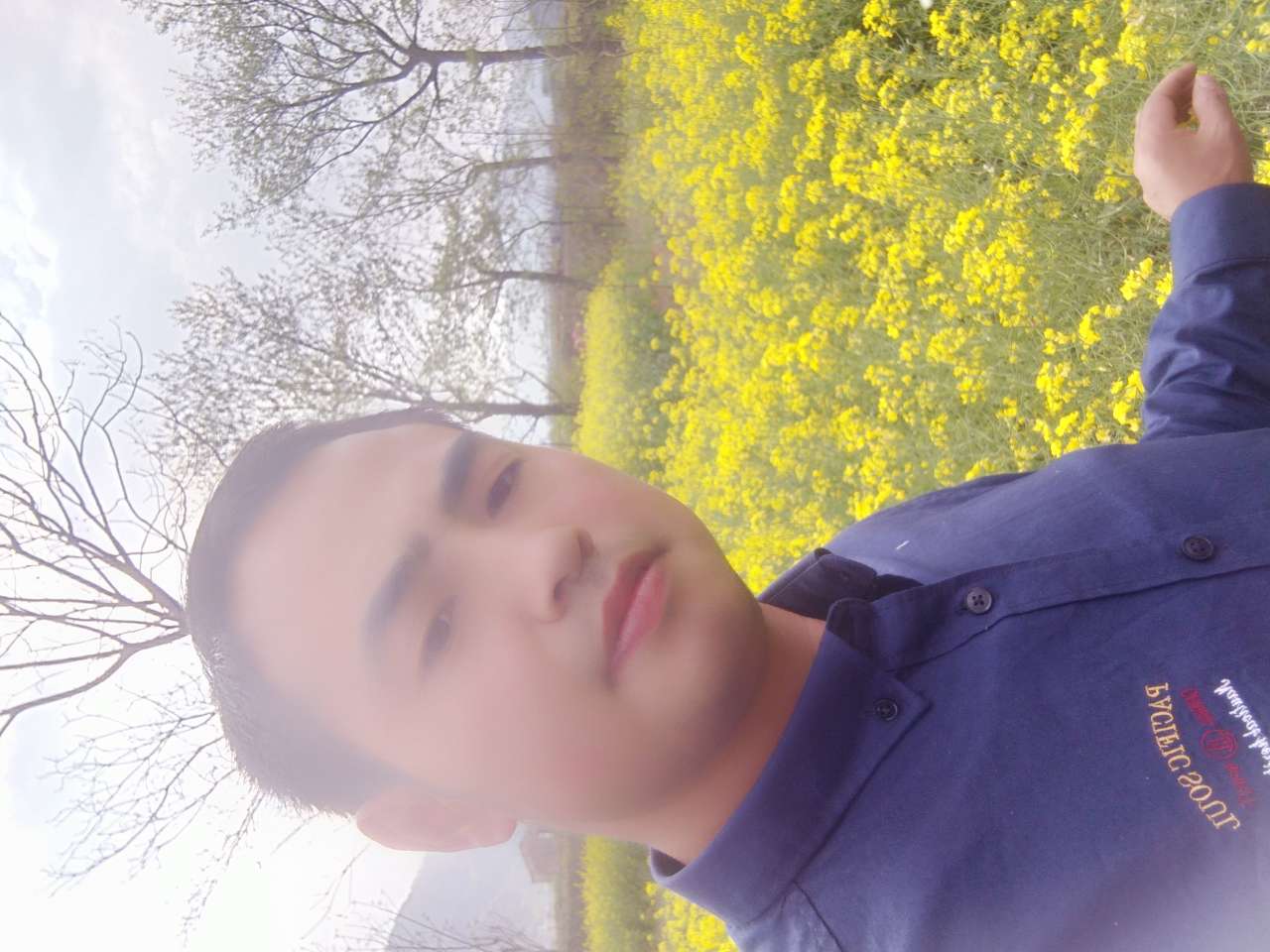 丛丛相亲交友平台