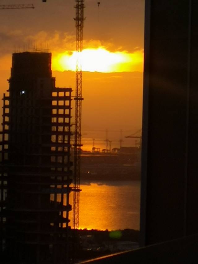 丛丛相亲交友平台