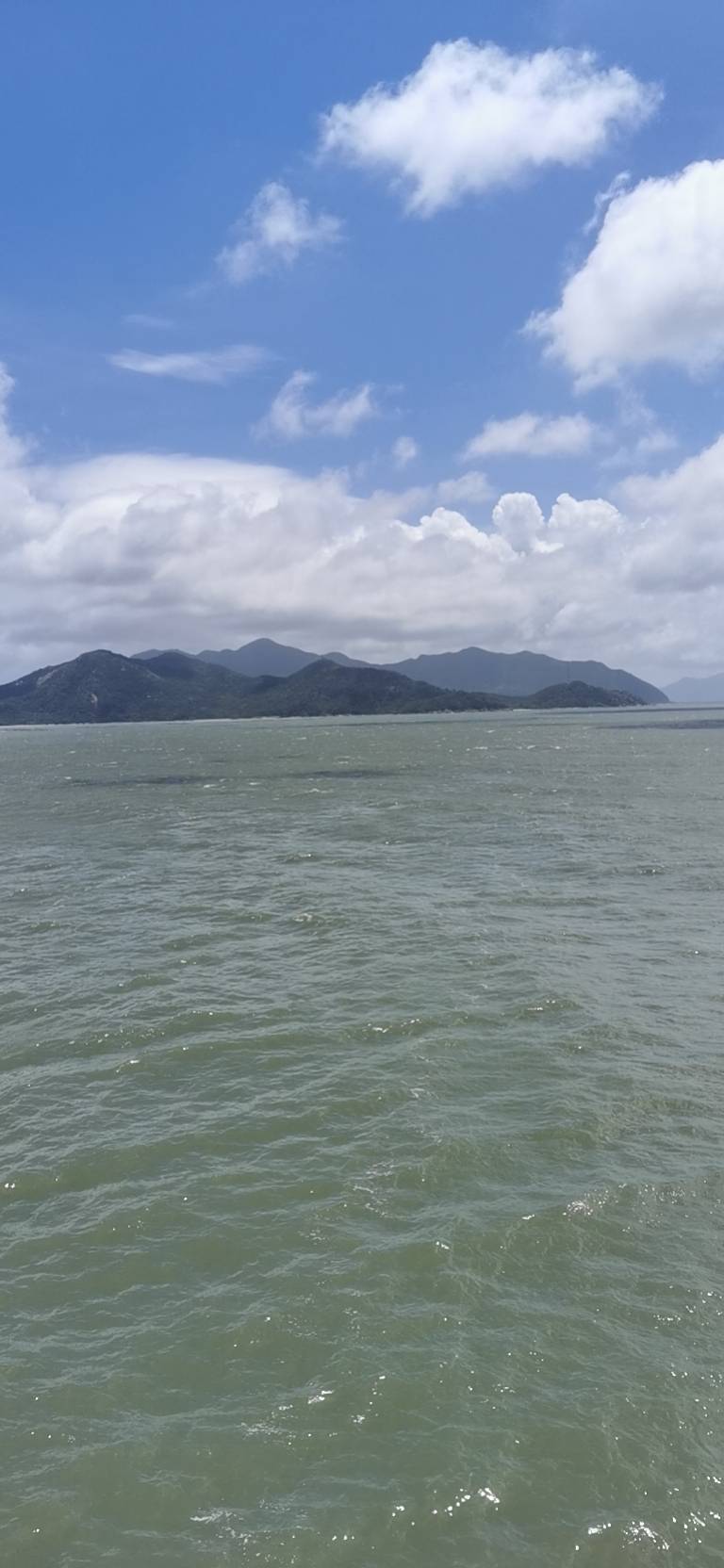 丛丛相亲交友平台