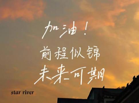 丛丛相亲交友平台