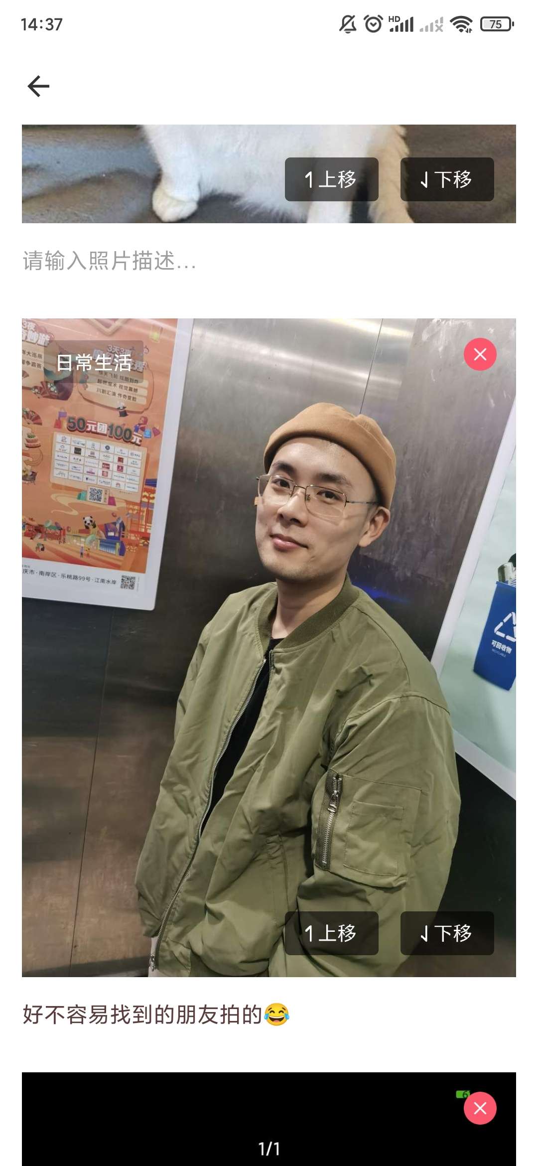 丛丛相亲交友平台