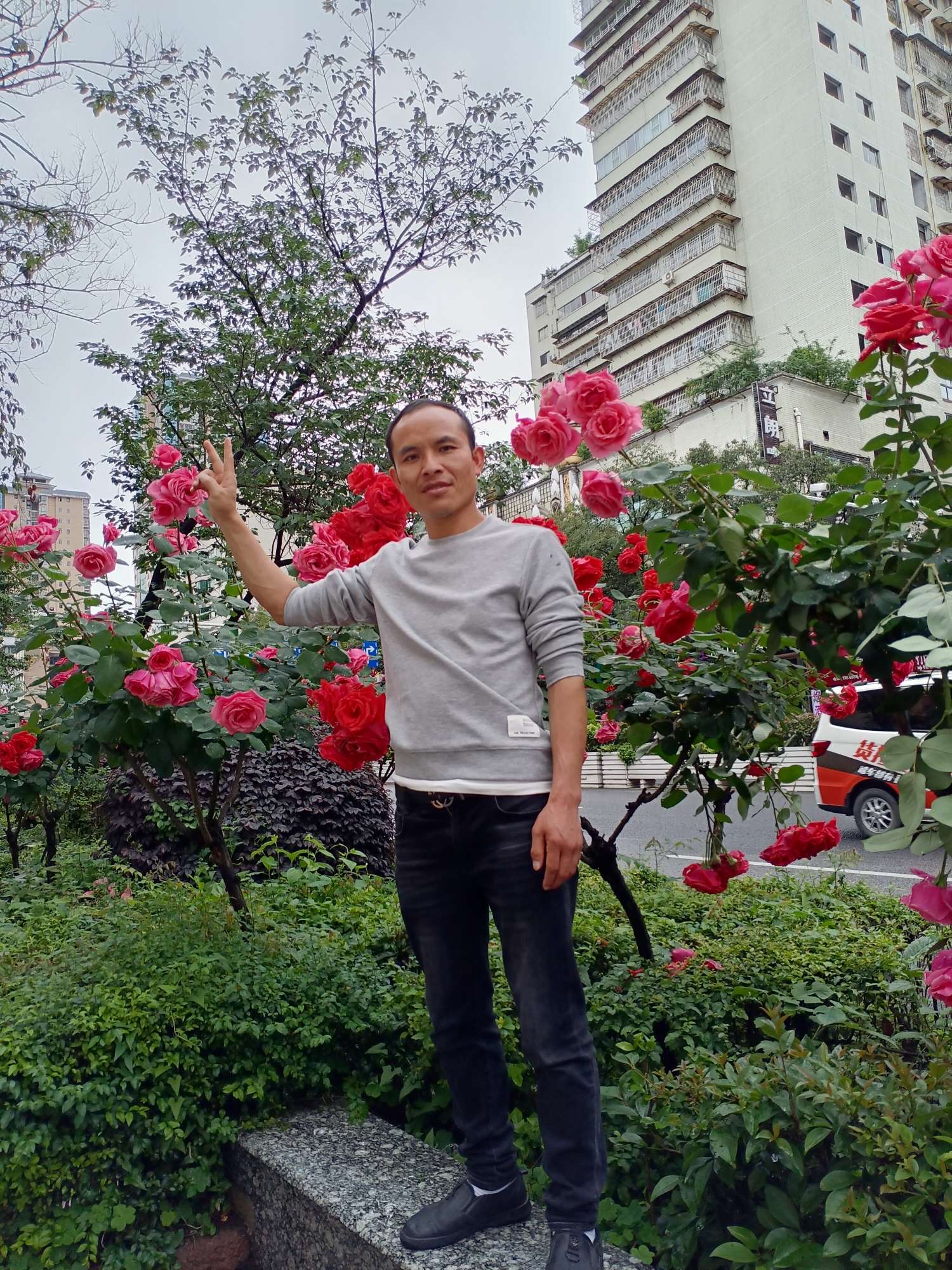 丛丛相亲交友平台