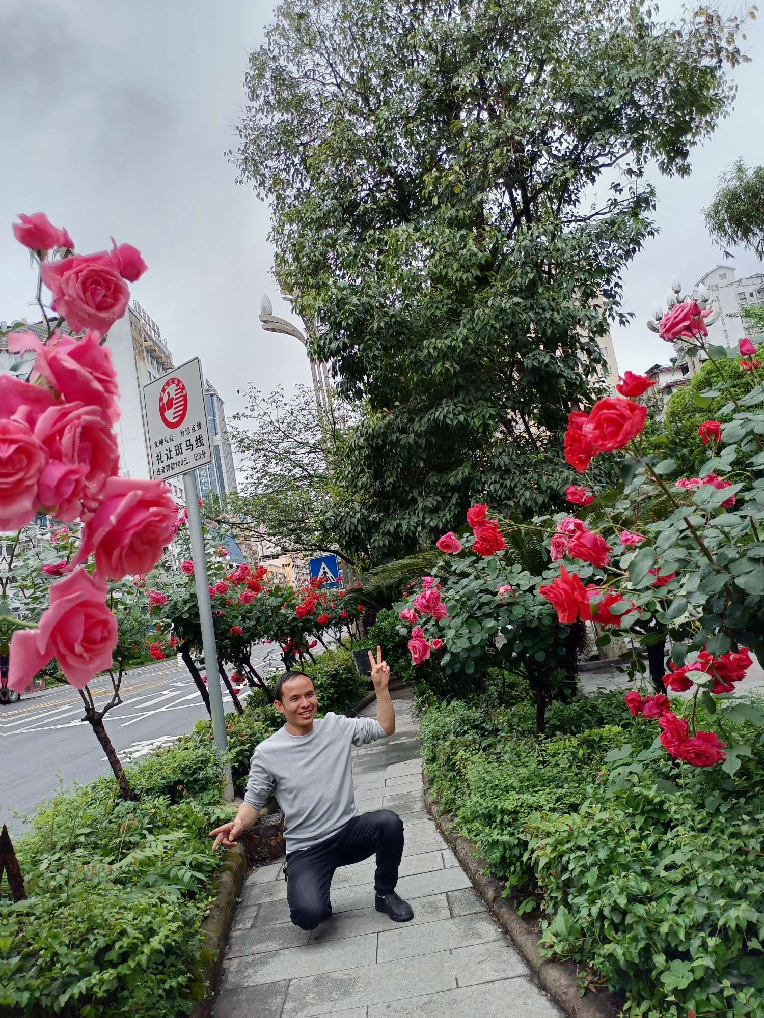 丛丛相亲交友平台