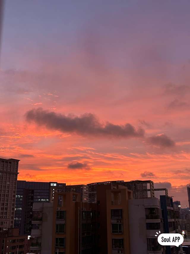 丛丛相亲交友平台