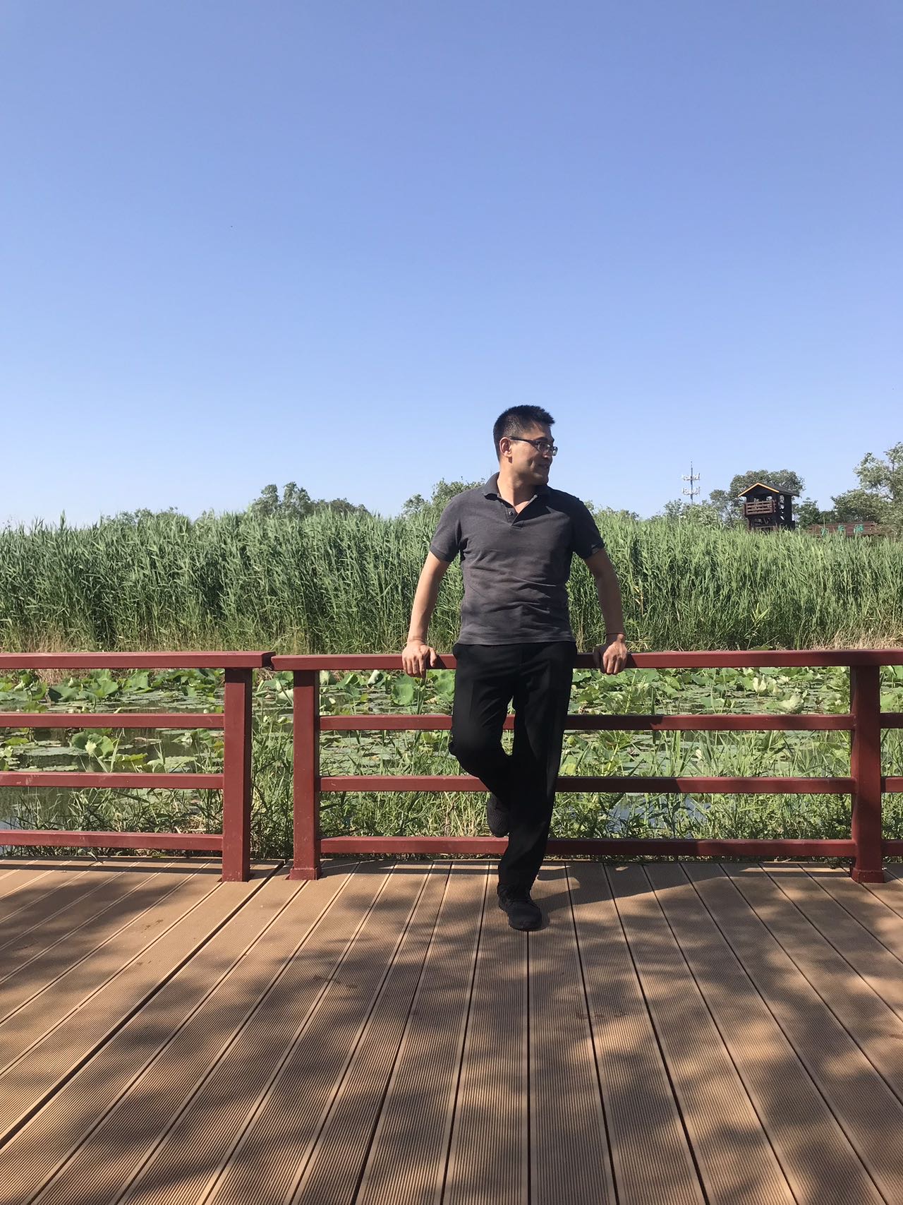 丛丛相亲交友平台