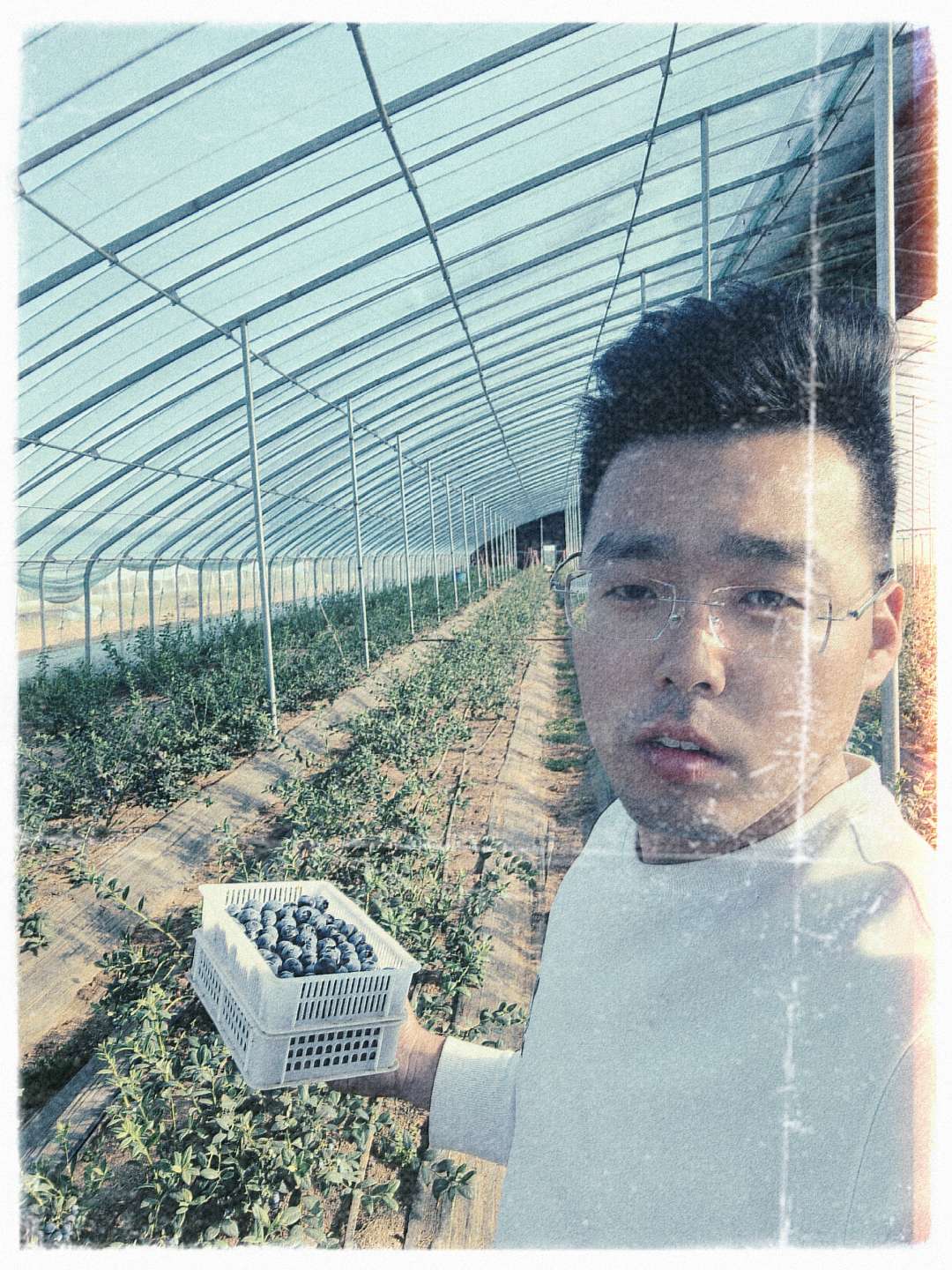 丛丛相亲交友平台