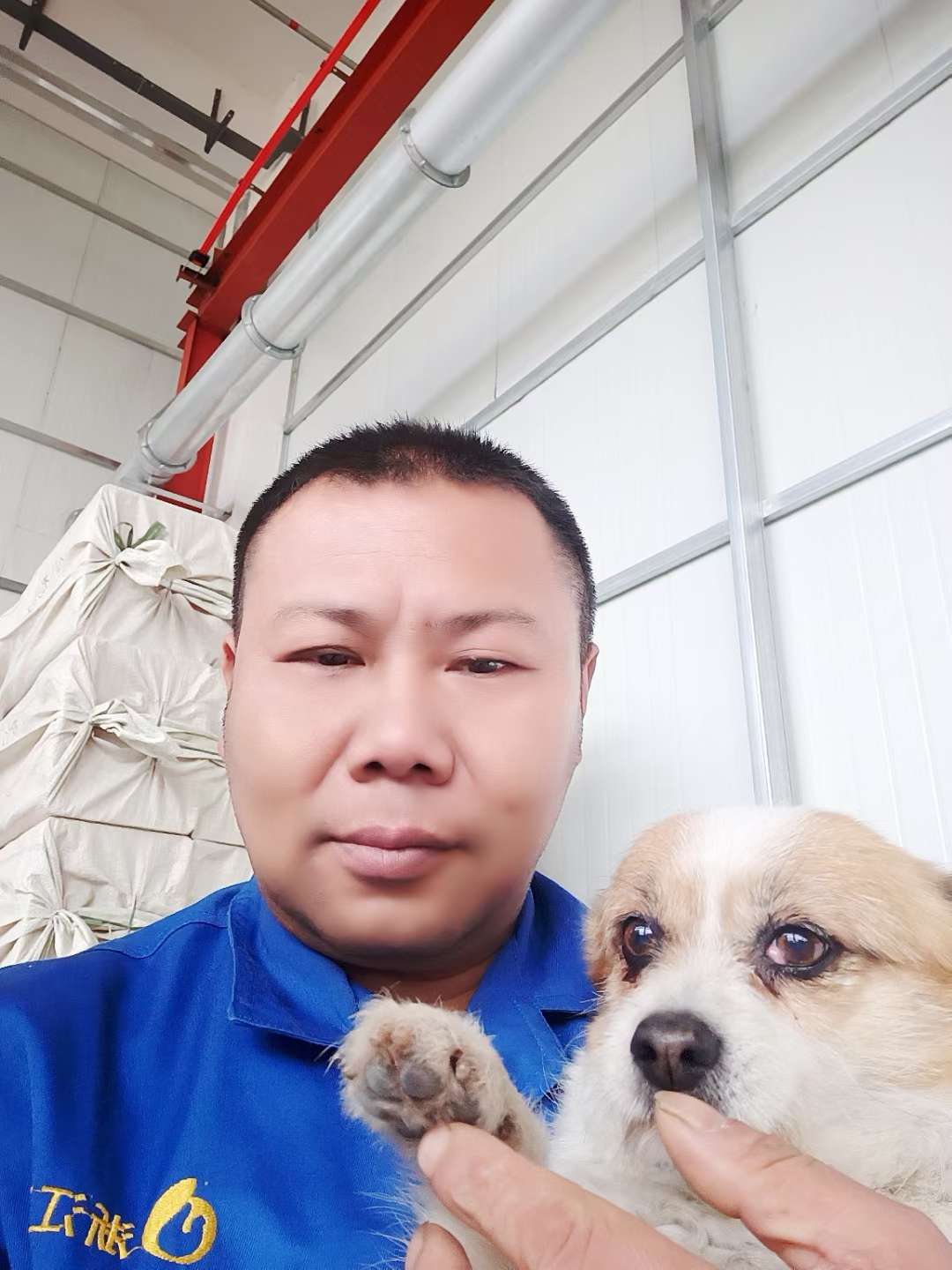 丛丛相亲交友平台