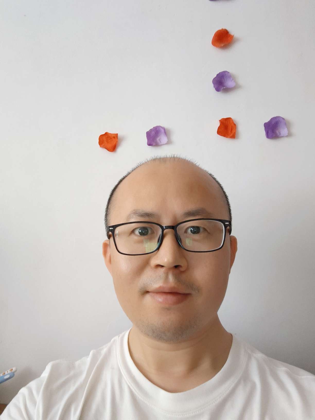 丛丛相亲交友平台