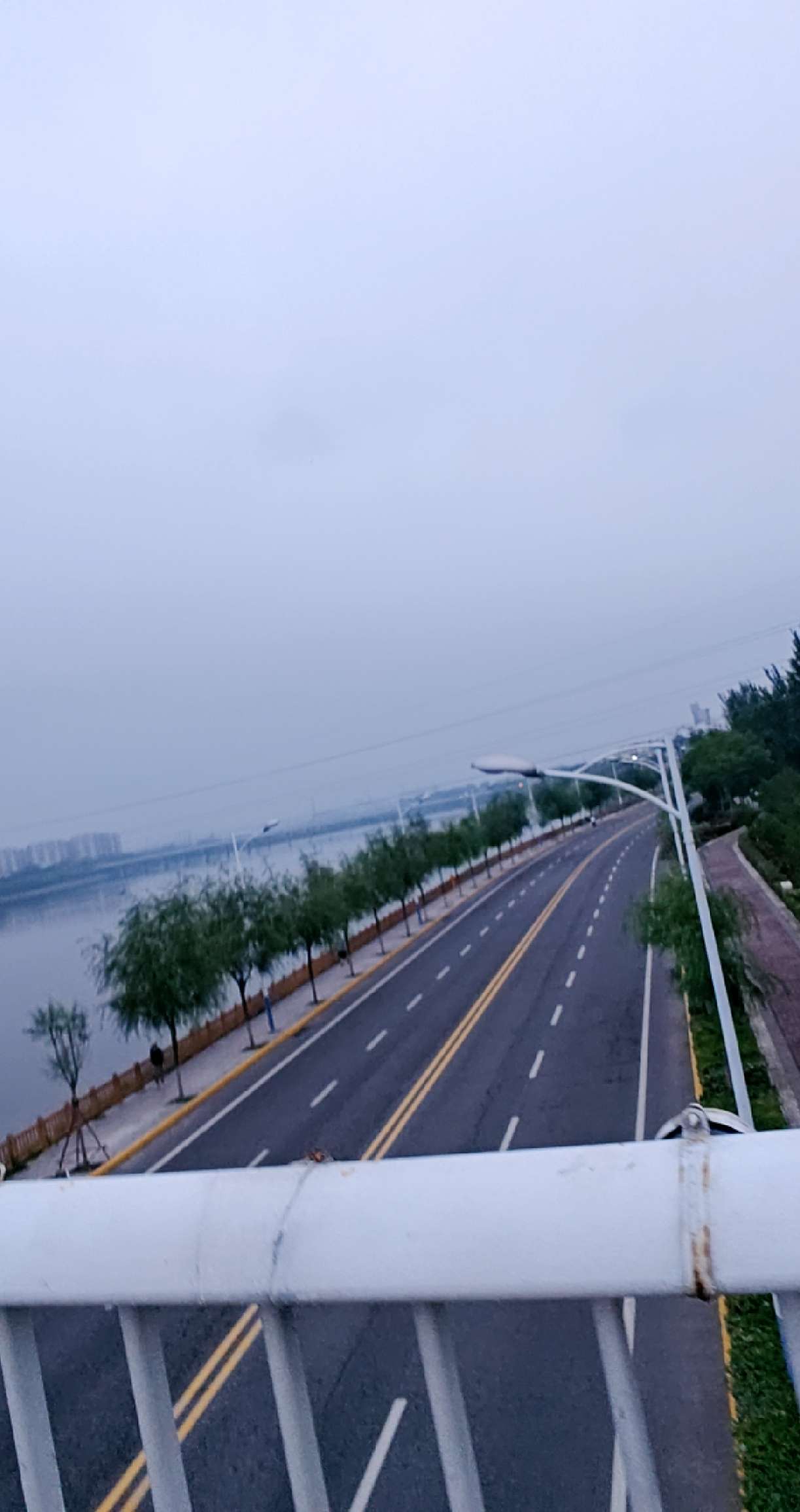 丛丛相亲交友平台