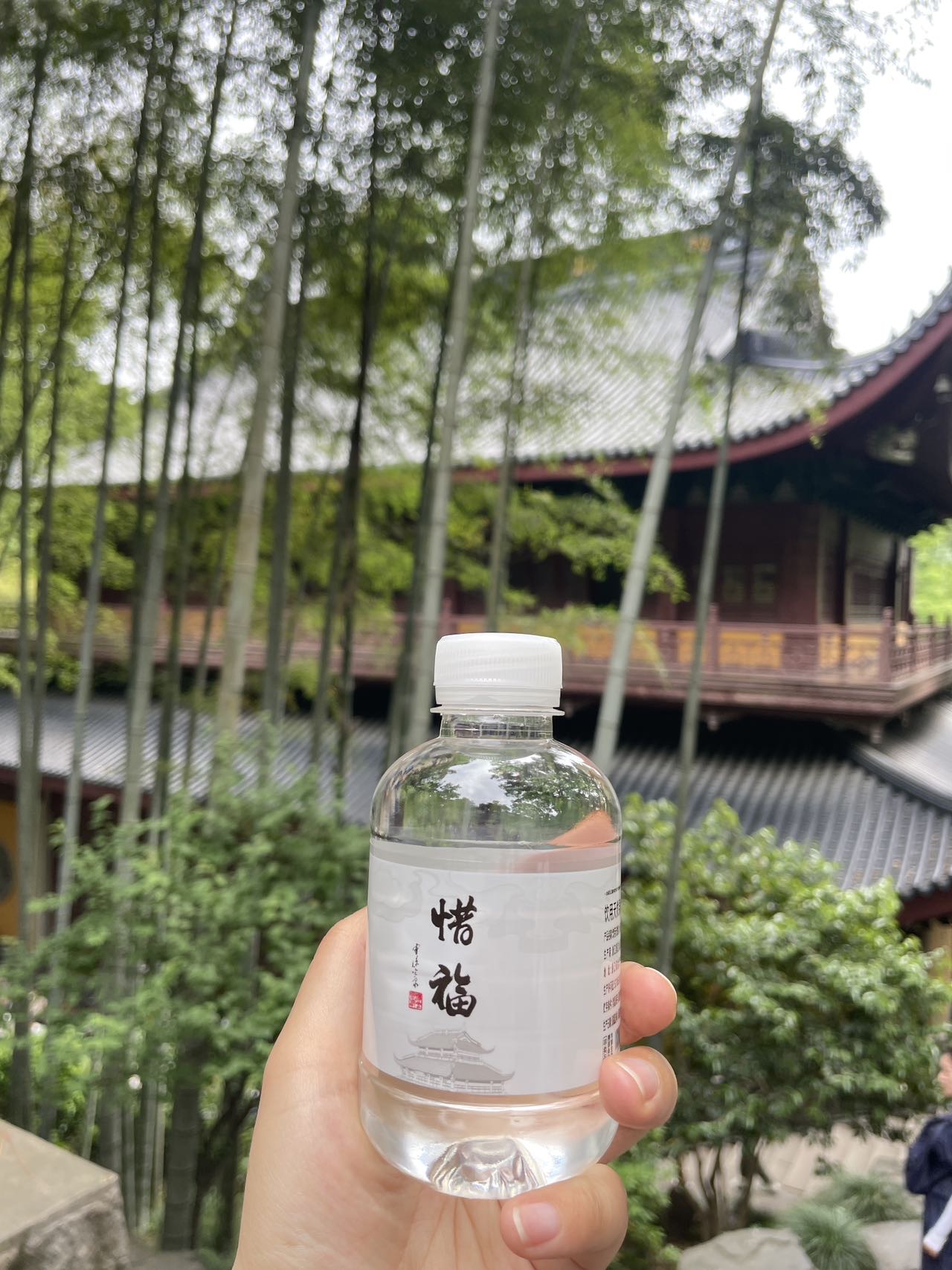 丛丛相亲交友平台