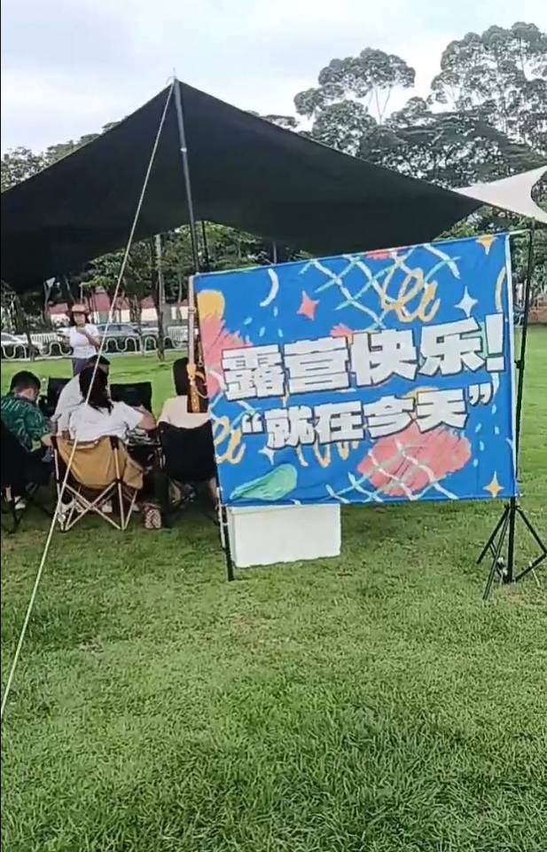 丛丛相亲交友平台