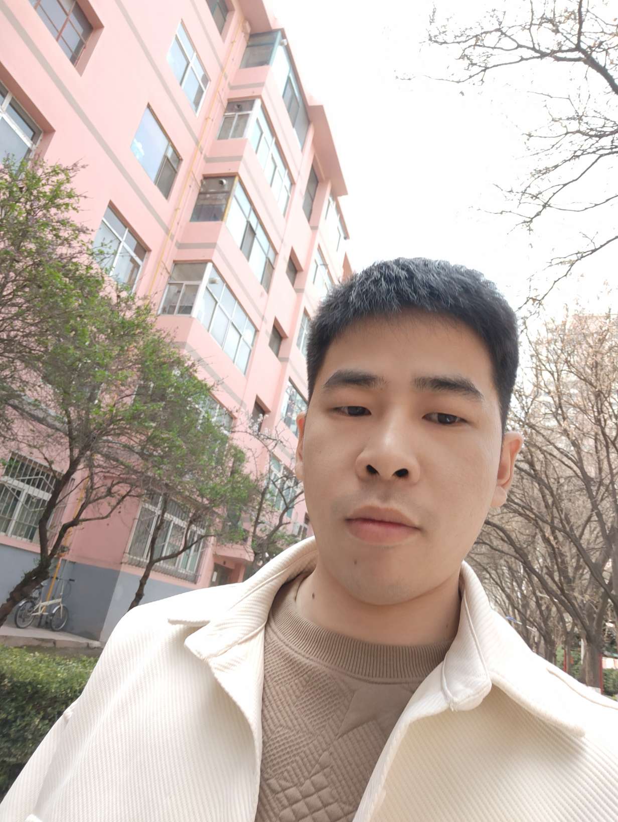 丛丛相亲交友平台
