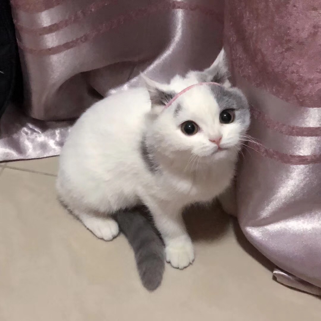 找搭子