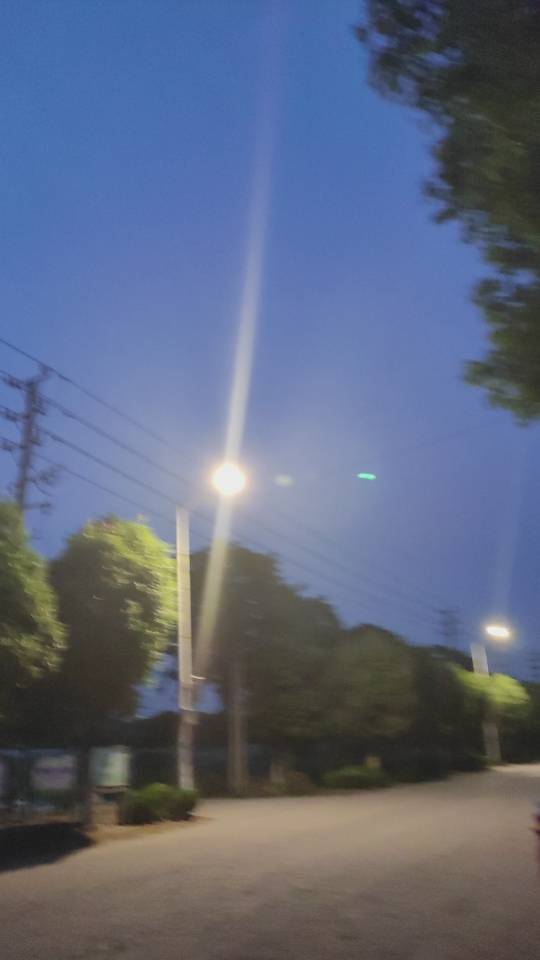 丛丛相亲交友平台