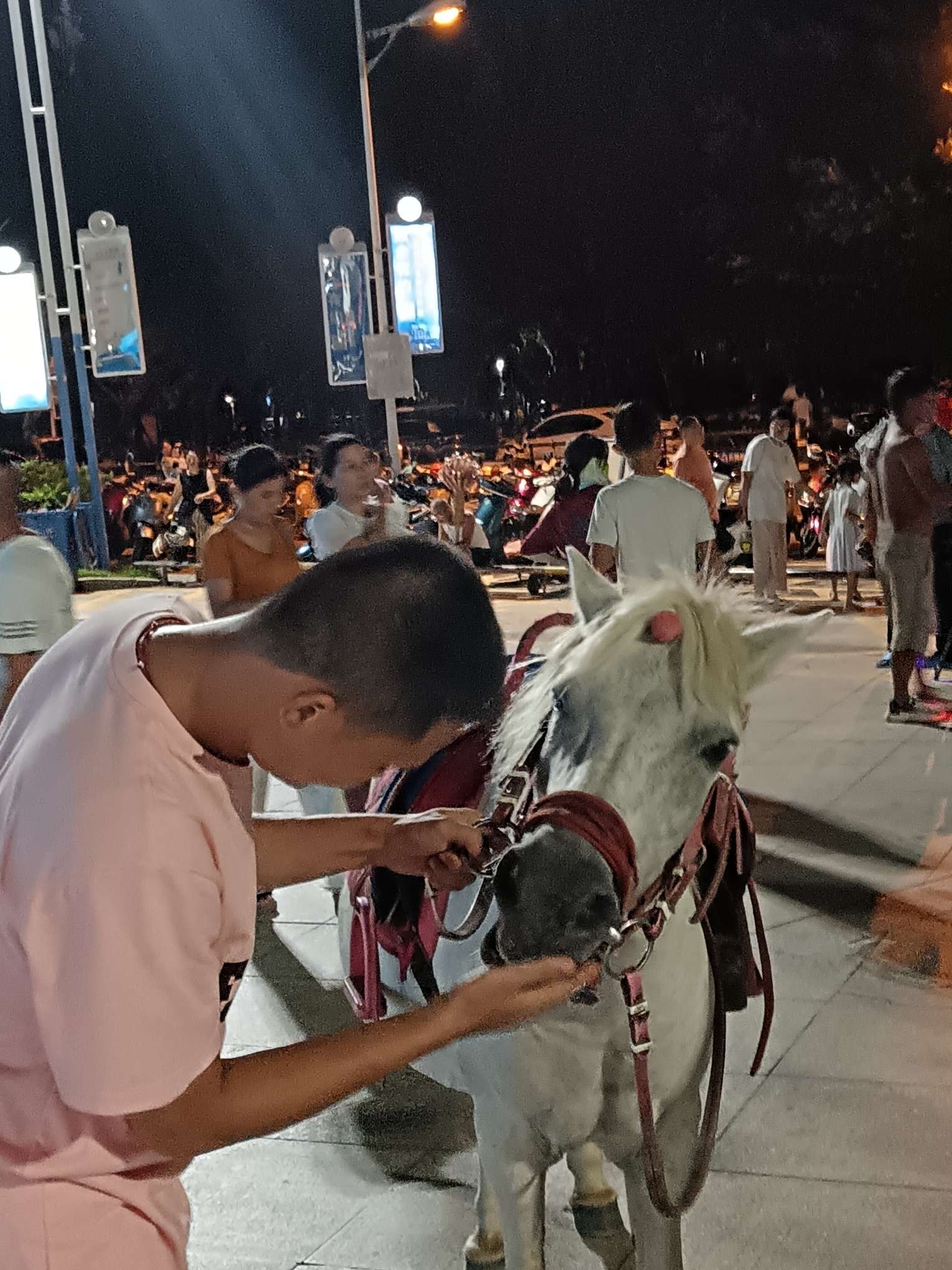 丛丛相亲交友平台