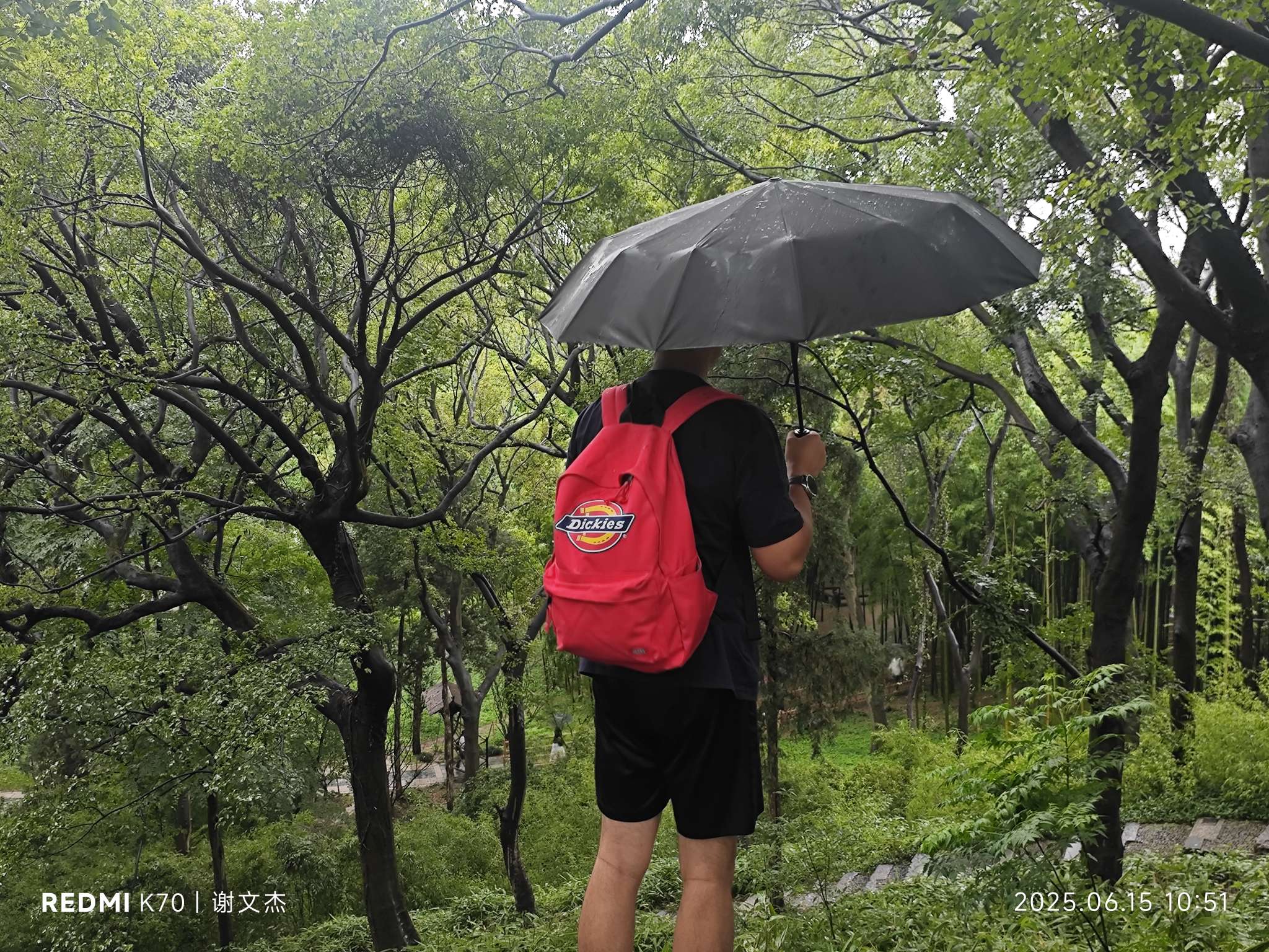 丛丛相亲交友平台