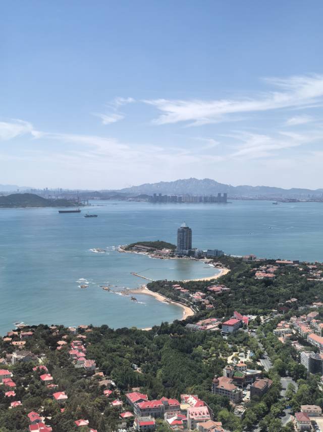 丛丛相亲交友平台