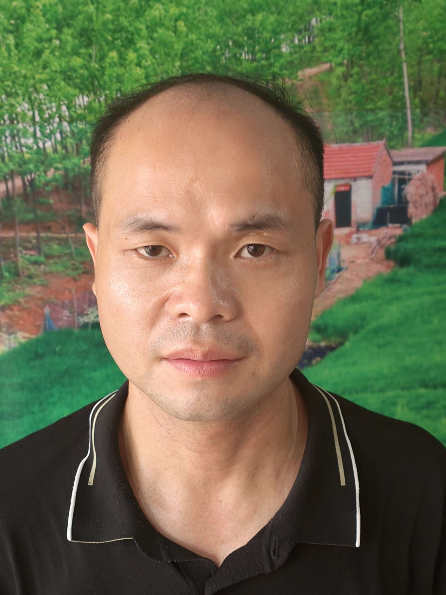 丛丛相亲交友平台